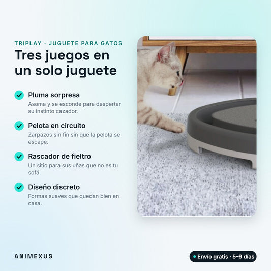 TriPlay, juguete interactivo 3 en 1 para gatos con pluma sorpresa, pelota en circuito y rascador de fieltro