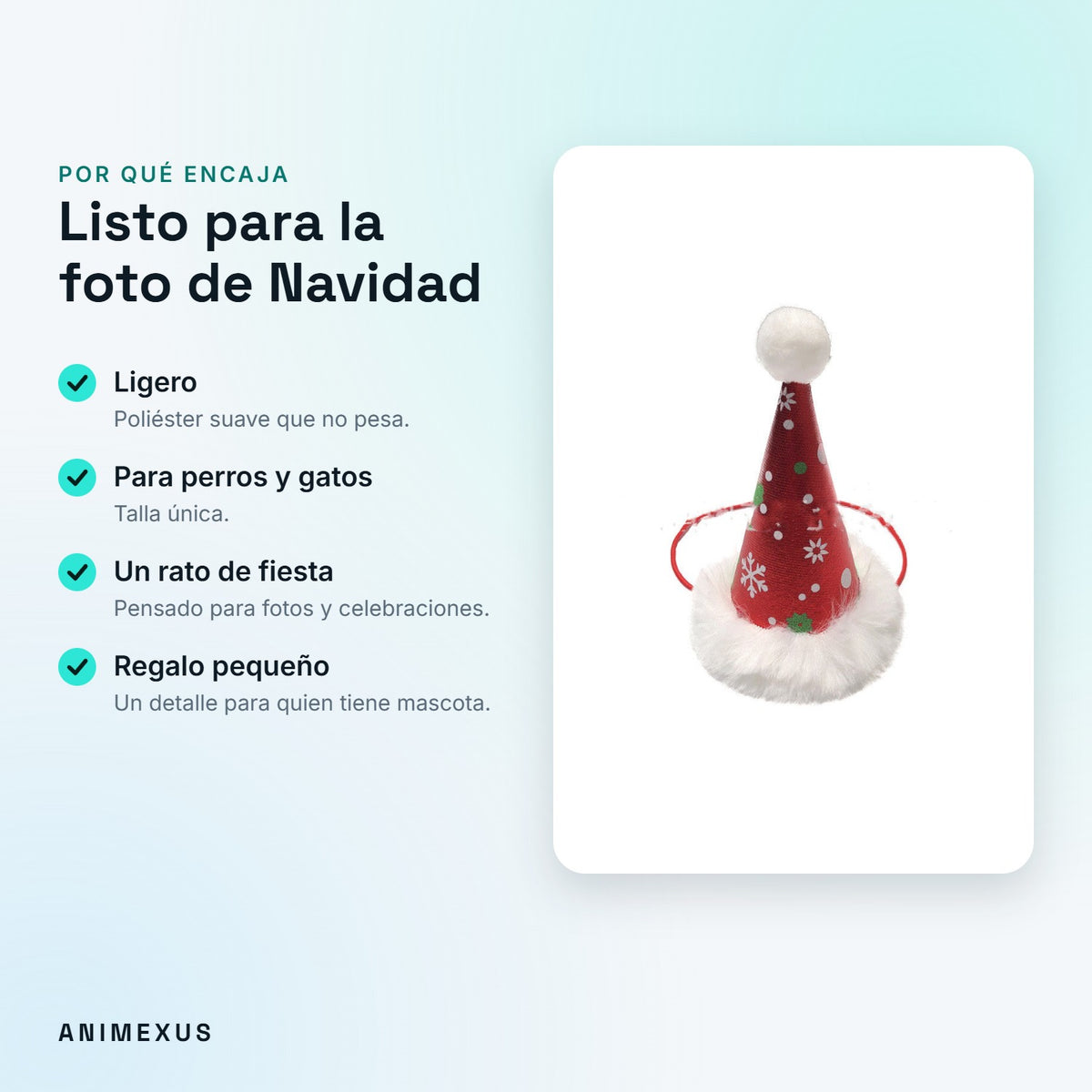 Ventajas de XmasSet: ligero, para perros y gatos, para fotos y como regalo pequeño